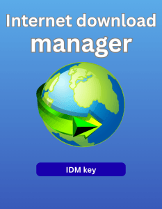 Internet download manager