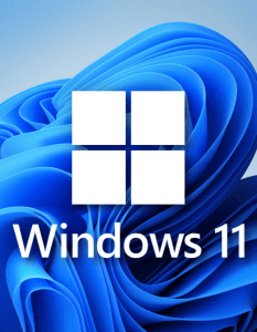 Windows 11