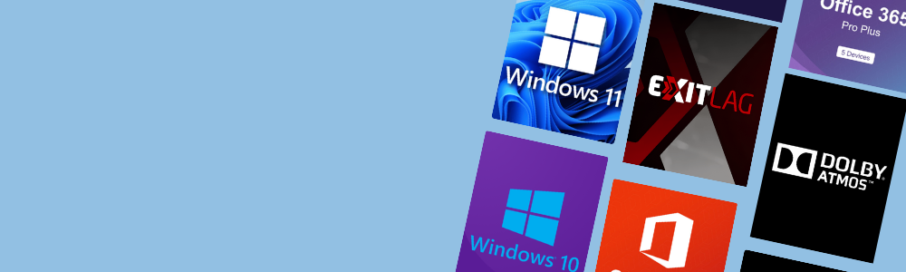 Software License